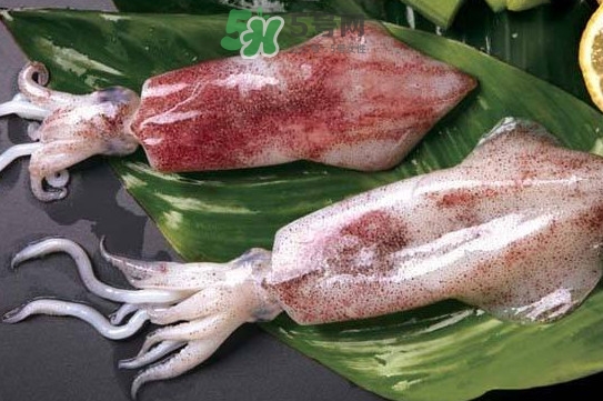 新鮮魷魚(yú)怎么處理？魷魚(yú)怎么清洗？