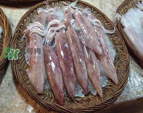 新鮮魷魚怎么保存？魷魚可以冷凍嗎