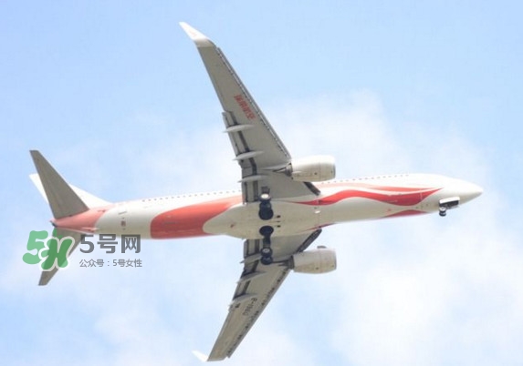 魷魚絲可以帶上飛機嗎？魷魚絲能帶上飛機嗎