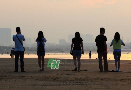 什么是心碎綜合癥？心碎綜合癥有哪些癥狀