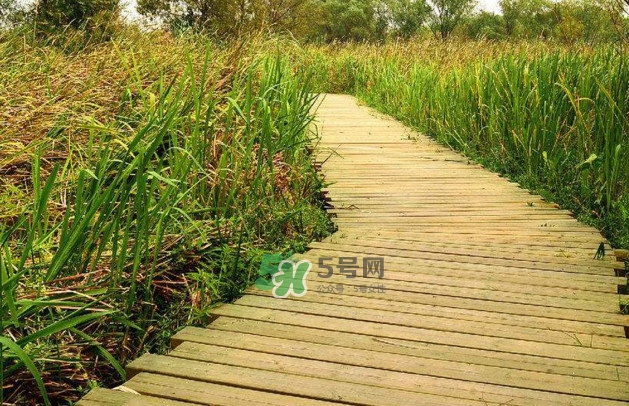 心碎綜合癥是抑郁癥嗎？心碎綜合癥怎么治療