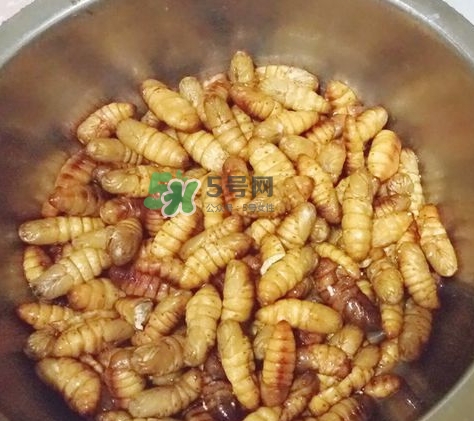 蜂蛹怎么保存？蜂蛹怎么做好吃？