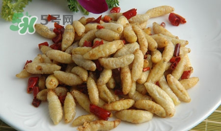 寶寶可以吃蜂蛹嗎？蜂蛹怎么吃最好吃？