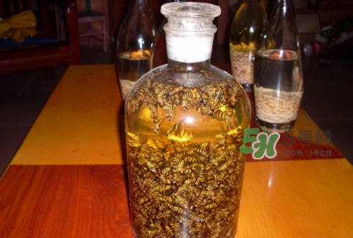 蜂蛹和枸杞能一起泡酒嗎？蜂蛹和枸杞泡酒的功效