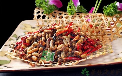 蜂蛹和枸杞能一起泡酒嗎？蜂蛹和枸杞泡酒的功效