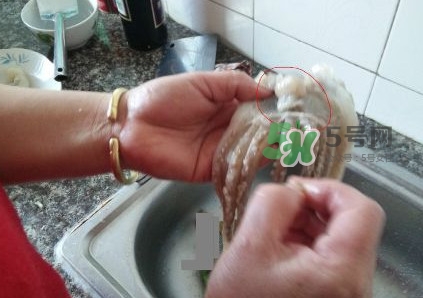 魷魚是堿性食物嗎？魷魚是酸性還是堿性？