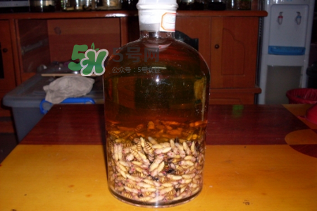 蜂蛹和枸杞能一起泡酒嗎？蜂蛹和枸杞泡酒的功效