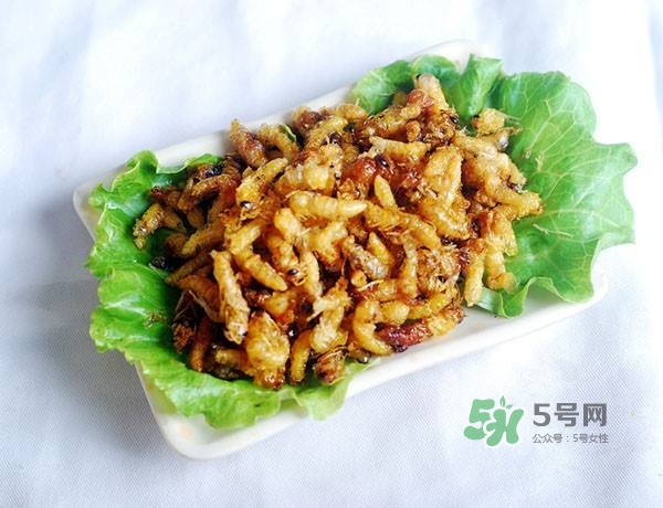 蜂蛹怎么保存？蜂蛹怎么做好吃？