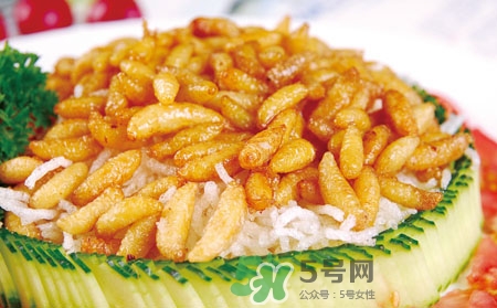 吃蜂蛹過敏了怎么辦？蜂蛹過敏的癥狀