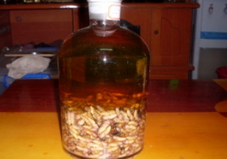 蜂蛹和枸杞能一起泡酒嗎？蜂蛹和枸杞泡酒的功效