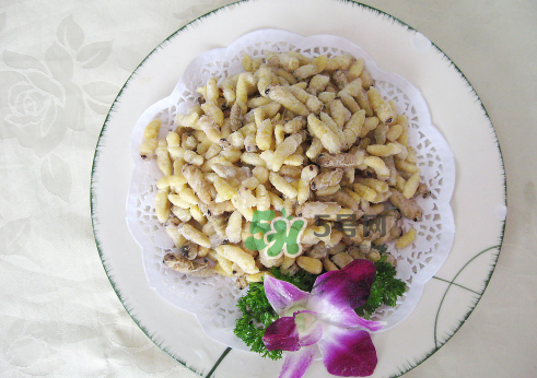 蜂蛹孕婦可以吃嗎？孕婦吃蜂蛹過敏怎么辦？