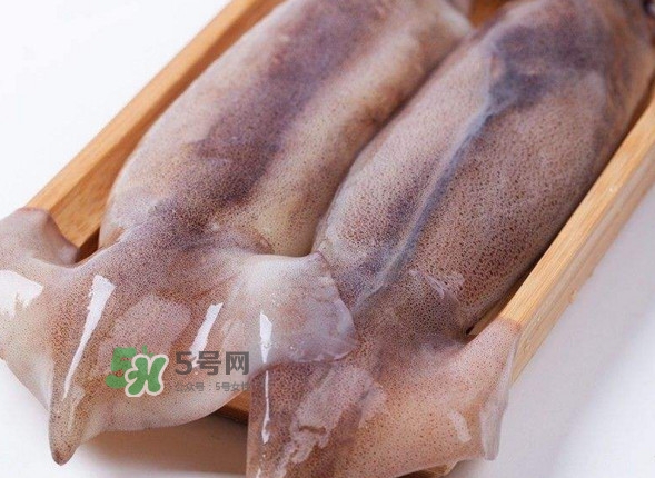 新鮮魷魚怎么保存？魷魚可以冷凍嗎