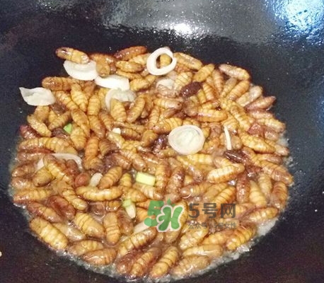 蜂蛹怎么保存？蜂蛹怎么做好吃？