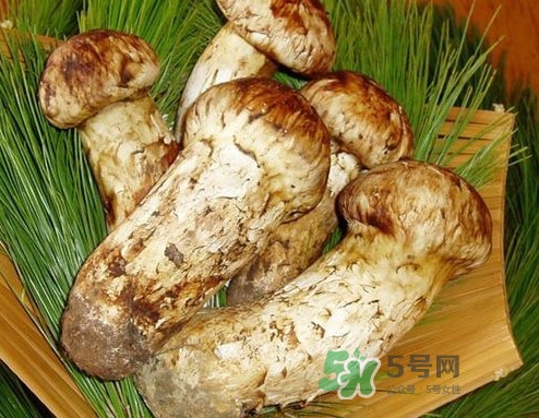 新鮮松茸怎么清洗？新鮮松茸怎么處理