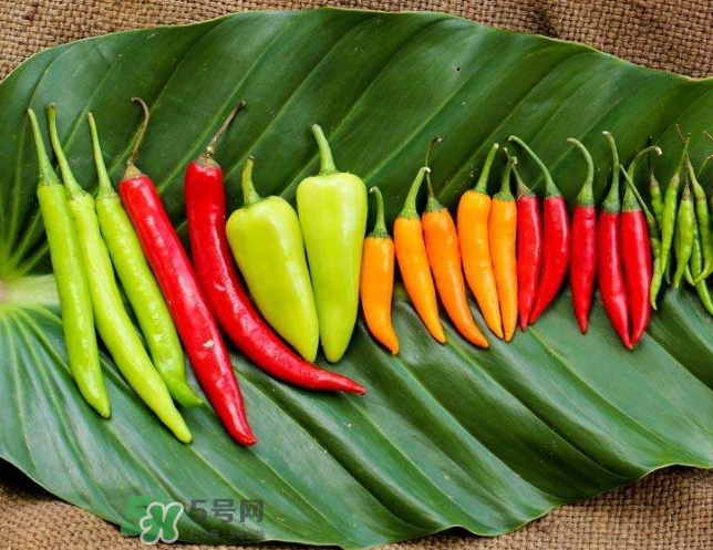 辣椒炒雞蛋的熱量是多少？辣椒能減肥嗎？