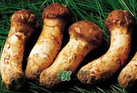 松茸是酸性還是堿性？松茸怎么做好吃
