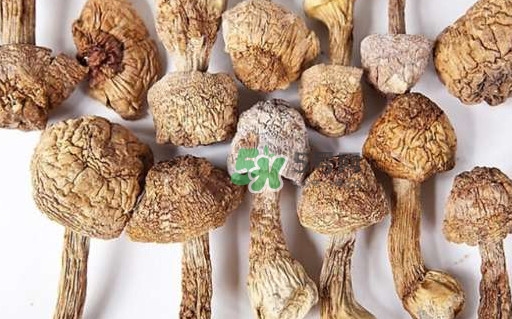 干松茸要泡多久？干松茸用冷水泡還是溫水泡好