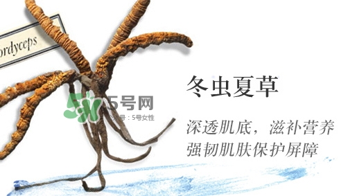 菌菇水是哪個(gè)國(guó)家的？悅木之源菌菇水是日本的嗎