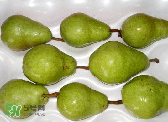 葫蘆梨怎么軟的快？葫蘆梨幾月份成熟？