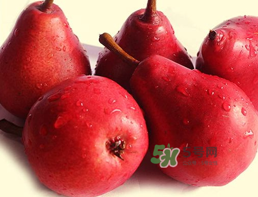 紅啤梨可以放冰箱嗎？紅啤梨怎么保存？