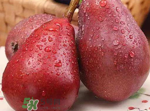 紅啤梨什么時候成熟？紅啤梨產(chǎn)地在哪？