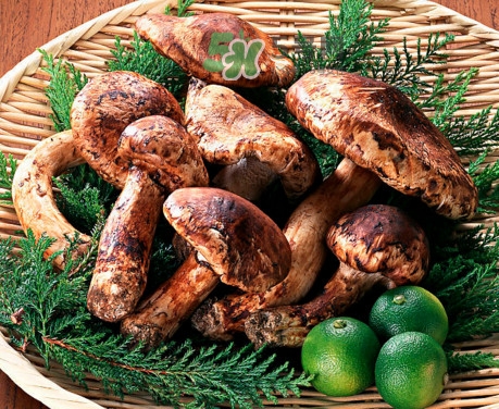 新鮮松茸怎么清洗？新鮮松茸怎么處理