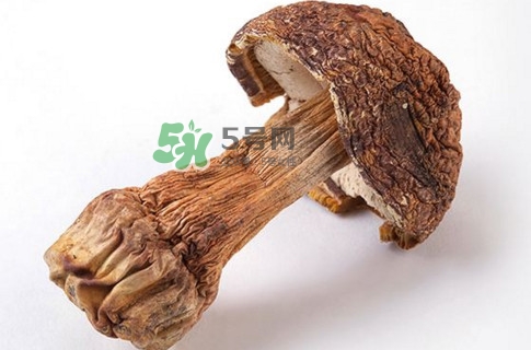 產(chǎn)婦能吃松茸嗎？哺乳期可以吃松茸嗎