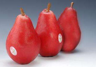 紅啤梨可以放冰箱嗎？紅啤梨怎么保存？