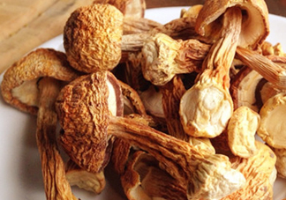 干松茸怎么清洗？干松茸如何辨別真?zhèn)?><p><strong>干松茸怎么清洗？干松茸如何辨別真?zhèn)?/strong></p></a></li> <li><a href=