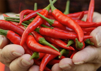 菜市場什么辣椒最辣？辣椒最辣的部分
