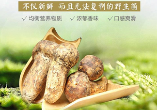 新鮮松茸怎么挑選？干松茸如何挑選