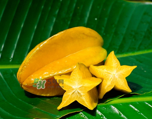 楊桃可以直接吃嗎？楊桃可以生吃嗎？