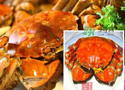 紅印蟹怎么回事？紅印蟹有什么不同？