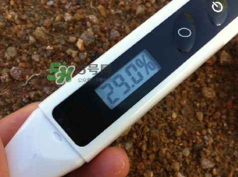 玫琳凱雙天后是什么？玫琳凱雙天后怎么樣