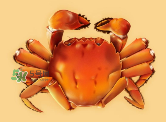 河蟹可以煮嗎？河蟹煮多長時(shí)間？