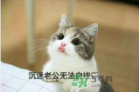 南方老公和東北老公哪個(gè)好？南方老公和東北老公的區(qū)別