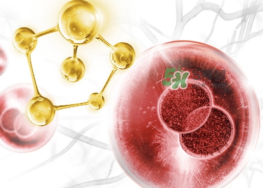 olay大紅瓶新版舊版哪個(gè)好？olay玉蘭油大紅瓶新版舊版區(qū)別