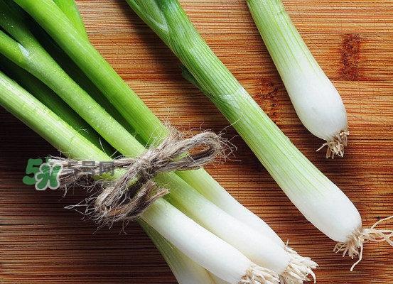 大蔥是蔥黃嗎？大蔥和蔥黃的區(qū)別