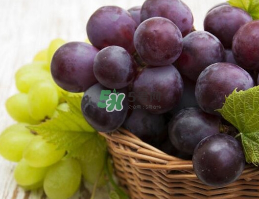 堿性食物和水果有哪些？堿性食物對身體有什么好處