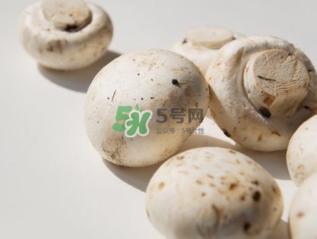 白蘑菇是什么種類？白蘑菇怎么洗才洗得干凈