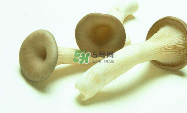 蘑菇不能和茄子一起吃嗎？蘑菇不能和什么一起吃？