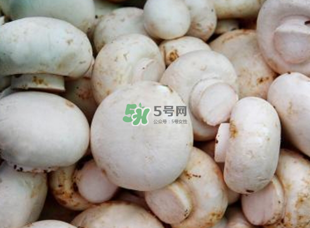 蘑菇變黑了還能吃嗎？蘑菇怎么保存？