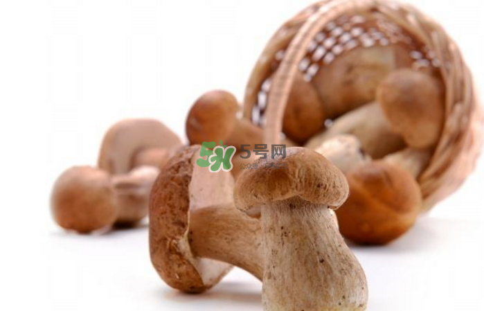 蘑菇能放冰箱嗎？蘑菇能放冰箱多長時(shí)間？