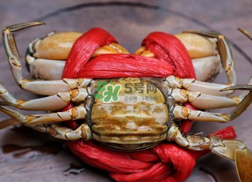 黃油蟹什么季節(jié)吃最好？黃油蟹產(chǎn)地