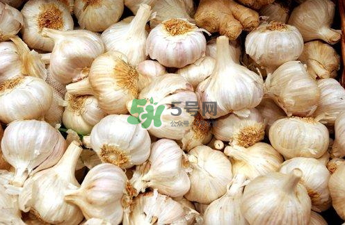 壽光大蒜有毒嗎？壽光毒大蔥事件