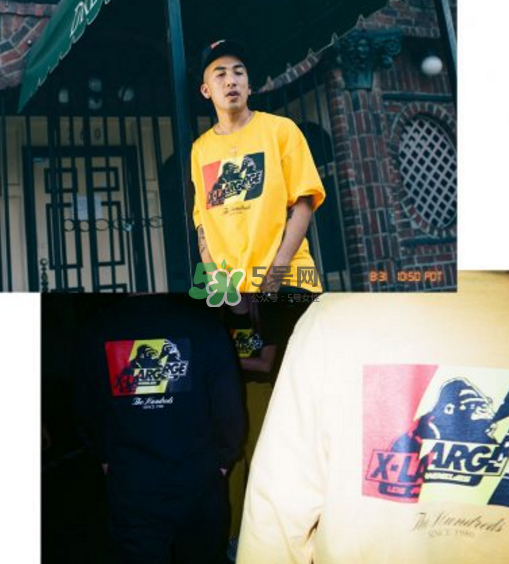 the hundreds與xlarge聯(lián)名系列多少錢_怎么樣_在哪買？