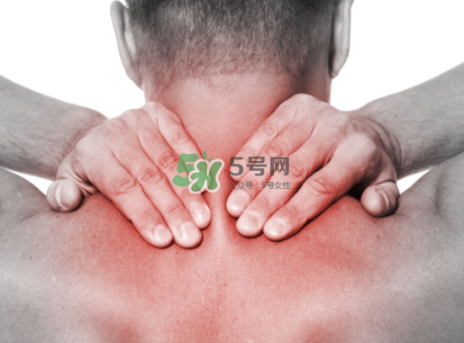 碧緹福護(hù)頸儀多少錢？碧緹福護(hù)頸儀價(jià)格