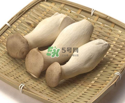 杏鮑菇用水焯嗎？杏鮑菇怎么做好吃