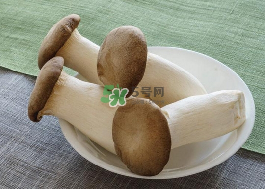 杏鮑菇怎么清洗？杏鮑菇怎么保存