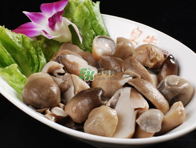 草菇孕婦能吃嗎？草菇要煮多久可以吃？